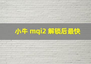 小牛 mqi2 解锁后最快